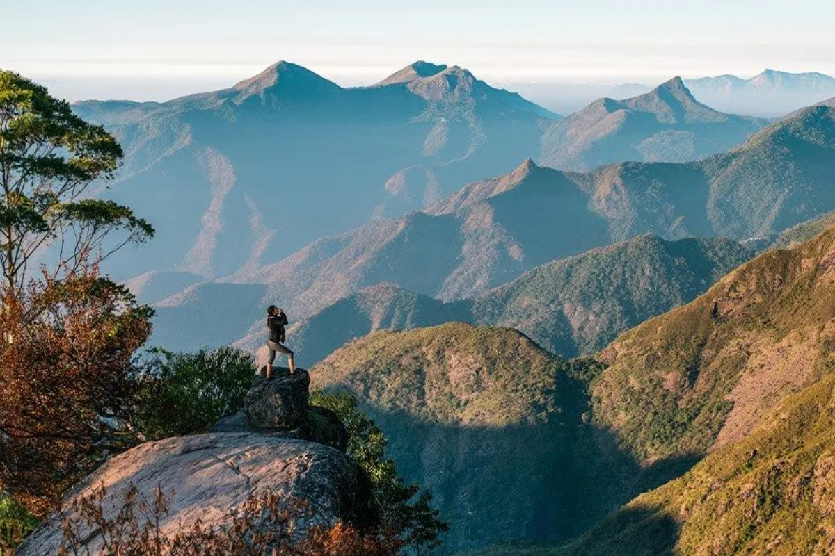 Budi ovde i sada: Columbia vodič kroz meditaciju i mindfulness u prirodi