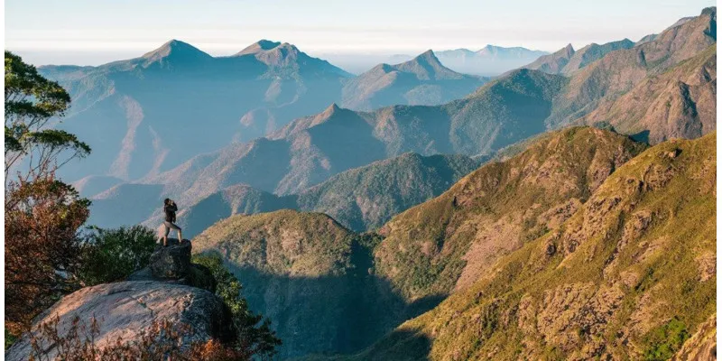 Budi ovde i sada: Columbia vodič kroz meditaciju i mindfulness u prirodi